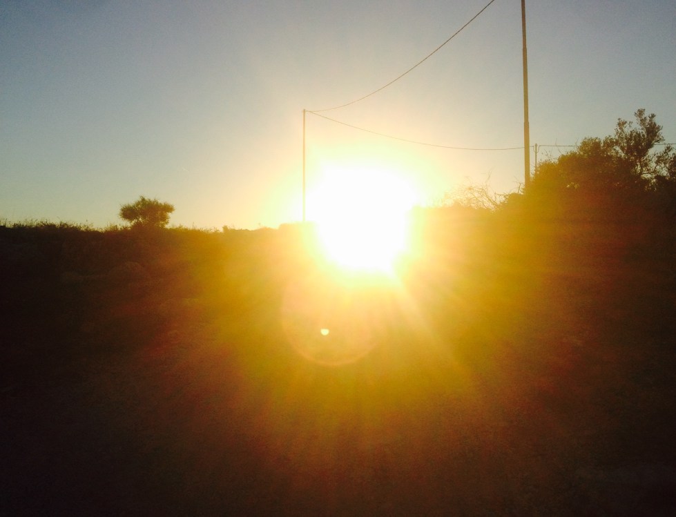 FullSizeRender (2).jpg