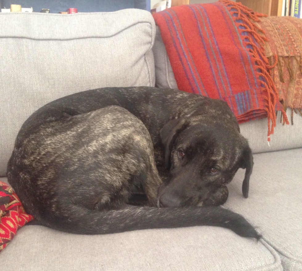 FullSizeRender (1).jpg