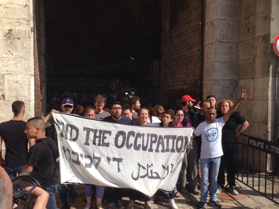 WhatsApp Image 2017-05-31 at 18.56.08.jpeg